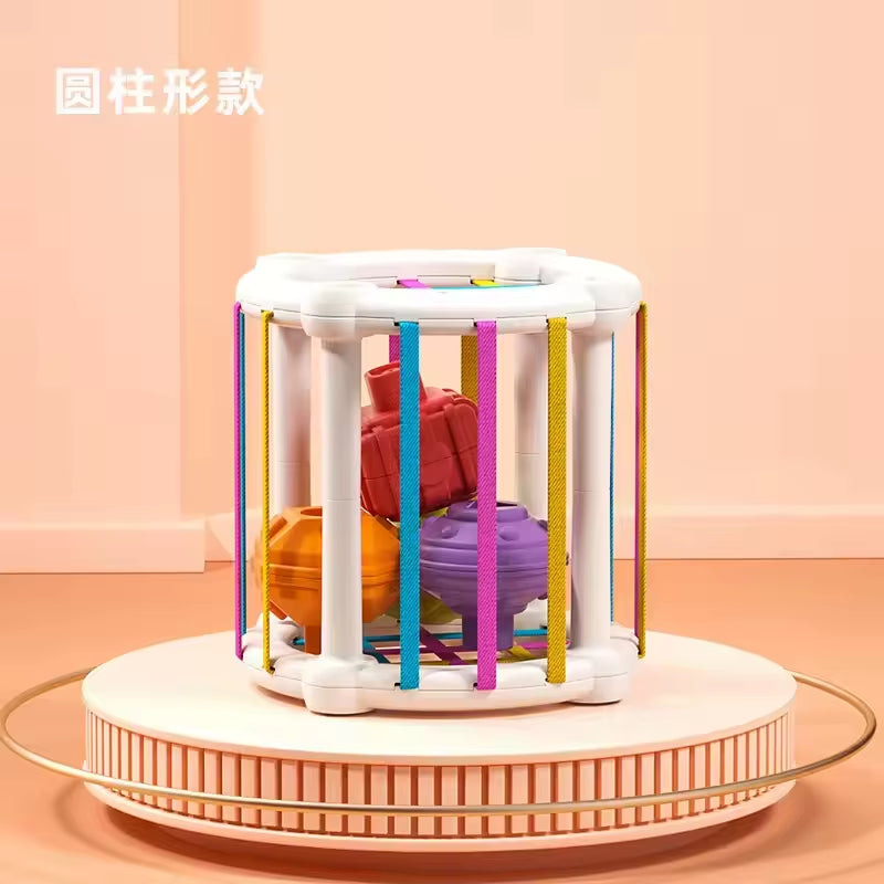 Baby Toy 1 2 Years Montessori Sensory Games for Baby 6 9 12 18 Months Shape Sorter with Textured Balls Sensory Balls Activity