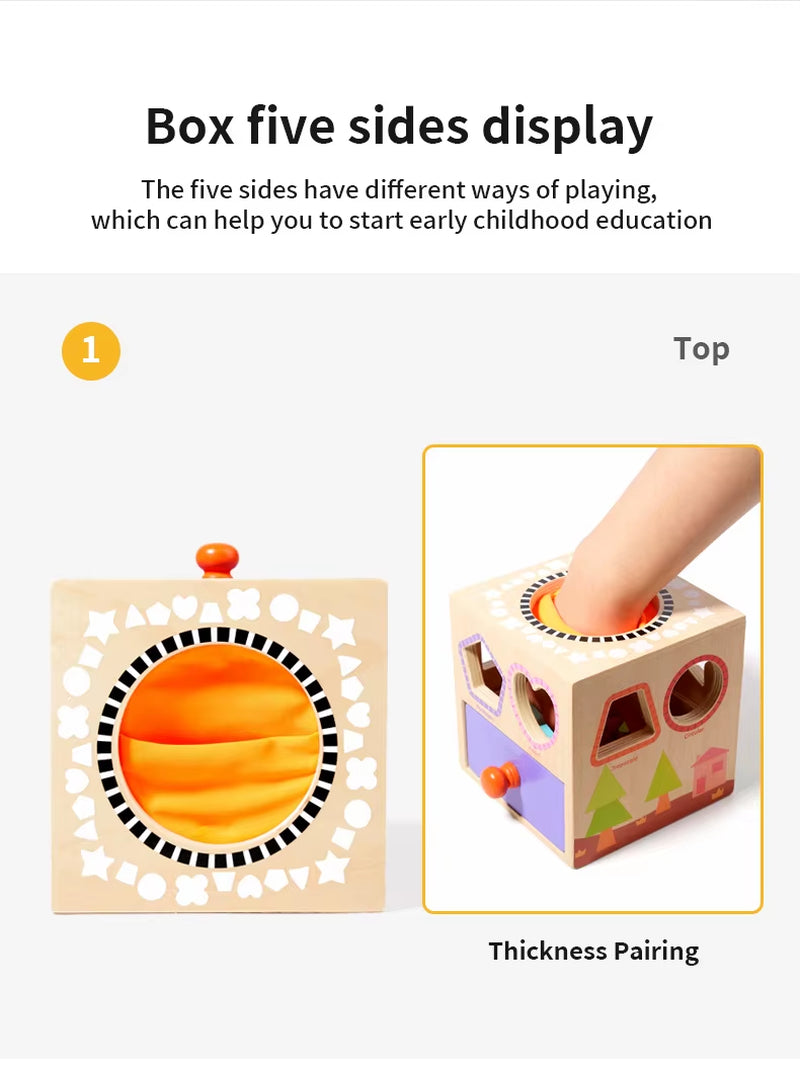 Montessori Multi-Functional Wooden Coin Box Sensory Shape Matching Toy for Early Educational Learning