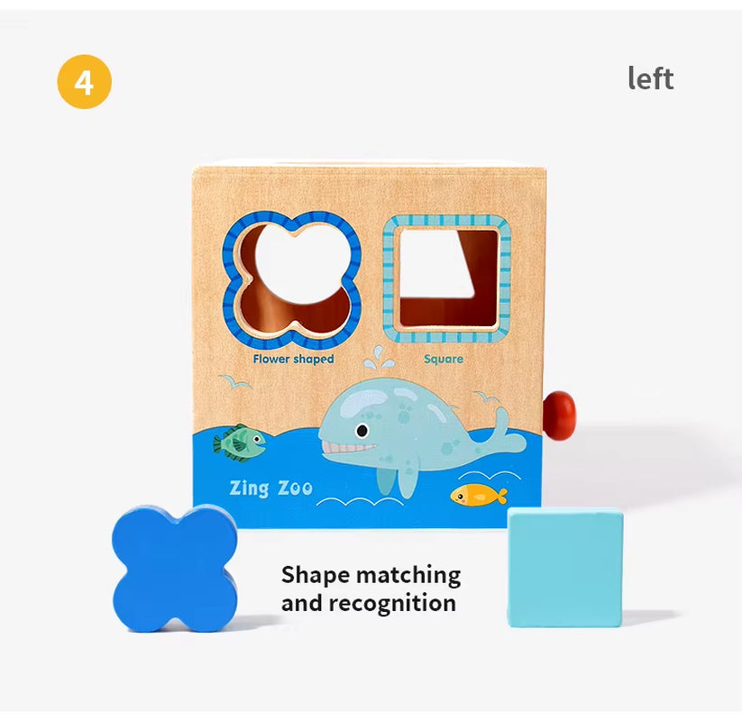 Montessori Multi-Functional Wooden Coin Box Sensory Shape Matching Toy for Early Educational Learning