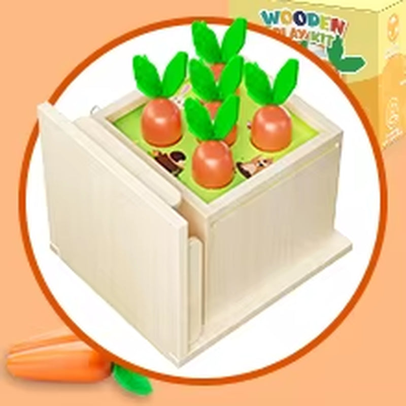 Dropshipping 4 in 1 Educational Montessori Toys Waldorf Object Coin Tissue Permanence Box Developmental Educational Wooden Toys