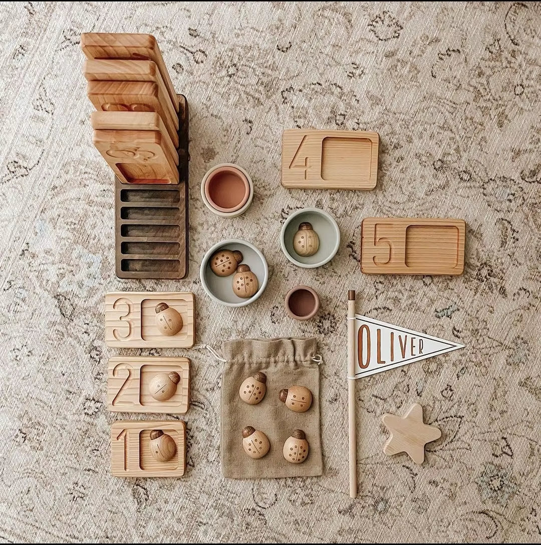 Solid Wood Ladybug Toy Montessori Teaching AIDS Digital Toys Hand-Eye Coordination Environmental Toys Digital Accessories