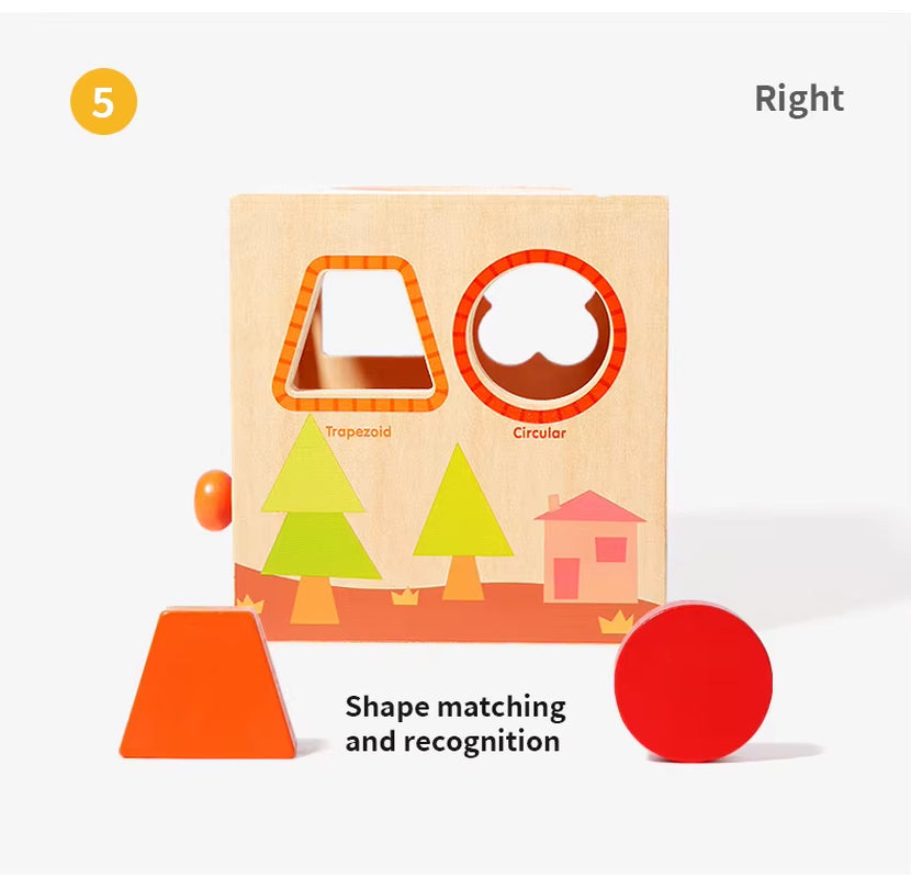 Montessori Multi-Functional Wooden Coin Box Sensory Shape Matching Toy for Early Educational Learning